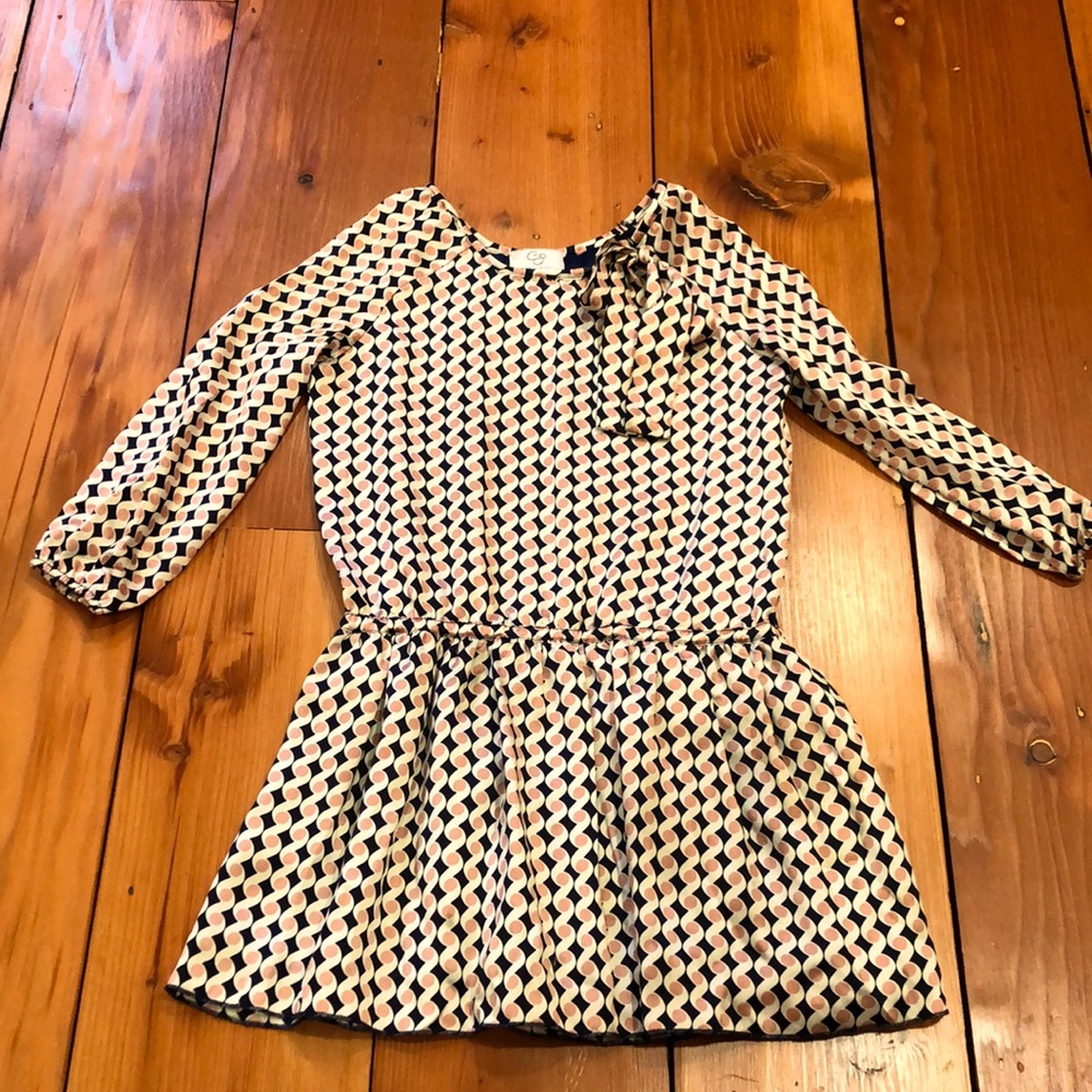 Carolina Zapf 💯 % silk drop waist dress.